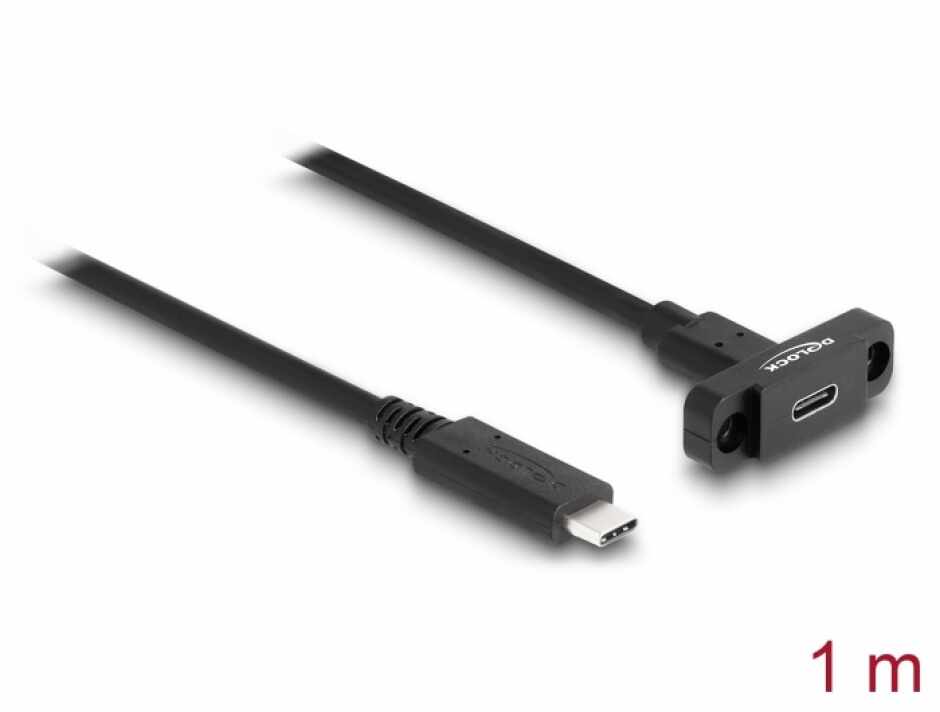 Cablu prelungitor USB 3.2 Gen2 type C T-M 1m montare panou, Delock 87824