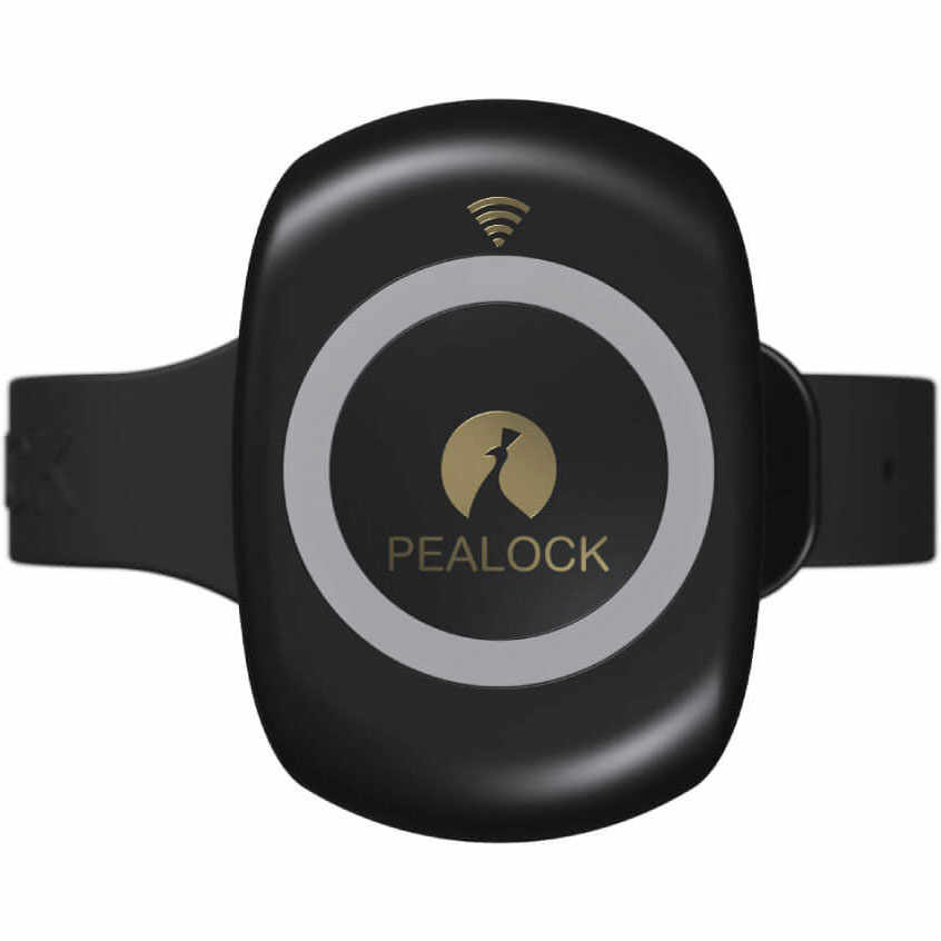 Pealock 2 - negru - Încuietoare inteligentă electronică