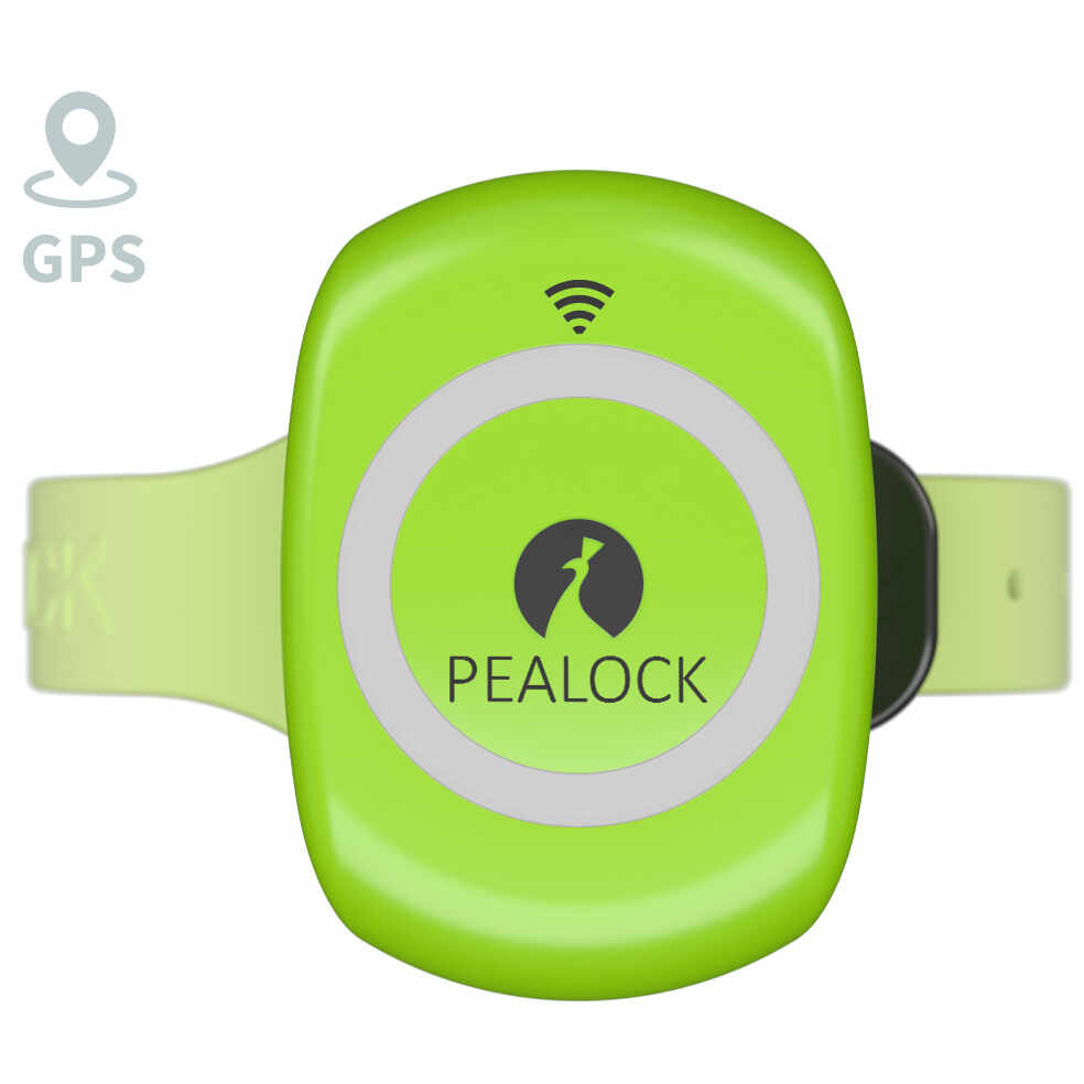 Pealock 2 - verde - Încuietoare inteligentă electronică