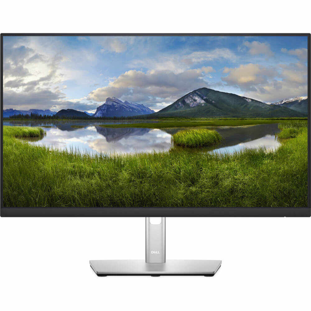 Monitor LED Dell P2422HE, 23.8