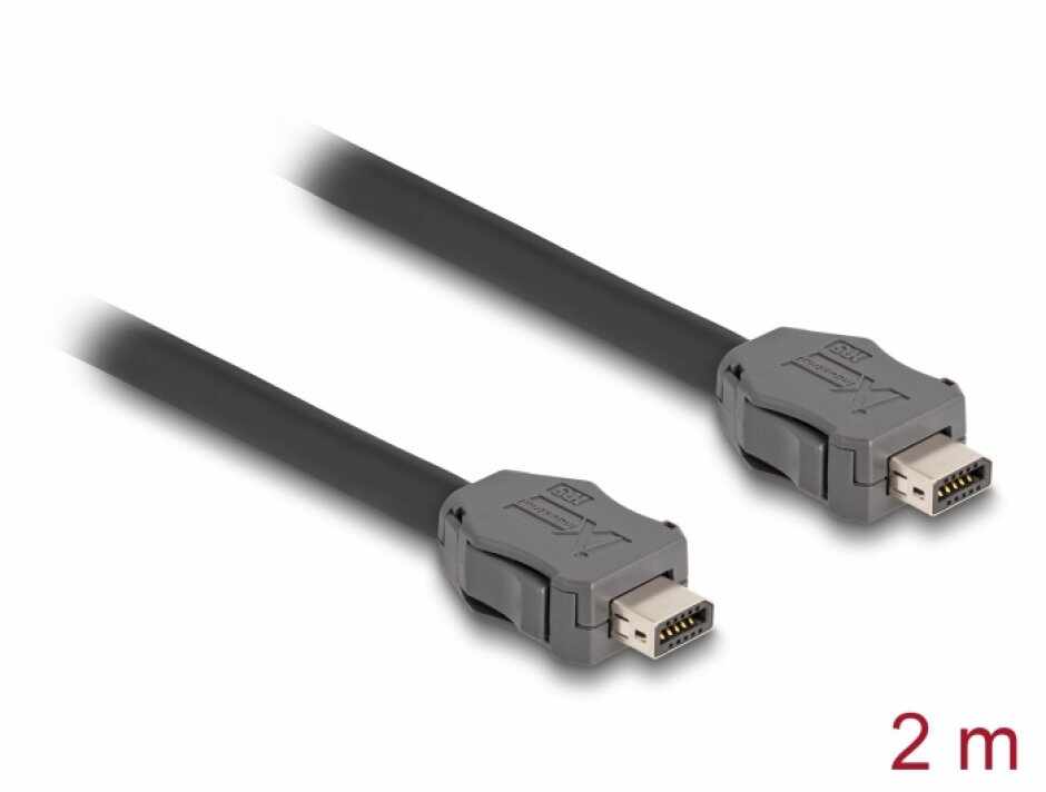 Cablu ix Industrial (A-coded) pentru Industry 4.0/IoT Cat.7 T-T 2m, Delock 82016