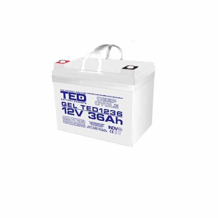 Acumulator AGM VRLA 12V 36A GEL Deep Cycle 195mm x 128mm x h 155mm M6 TED Battery Expert Holland TED003386 (1)