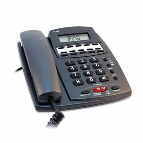 Telefon ip pentru statia de apelare Intercall IP250