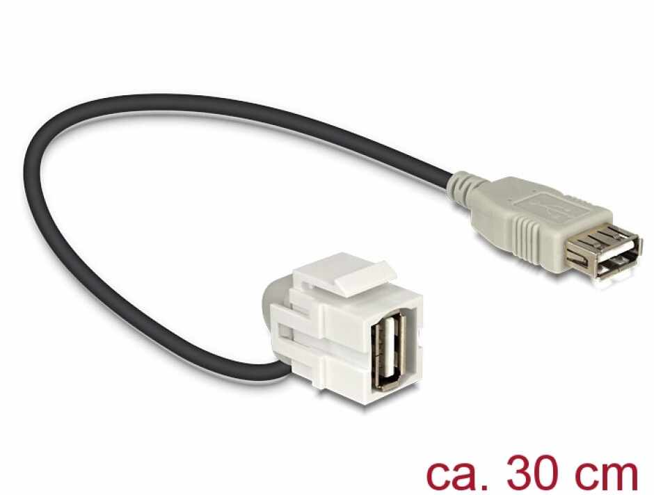Modul Keystone USB 2.0-A 110 grade mama, Delock 86327
