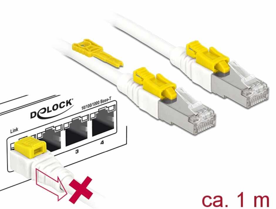Cablu de retea RJ45 cat 6A cu sistem de blocare 1m, Delock 85331