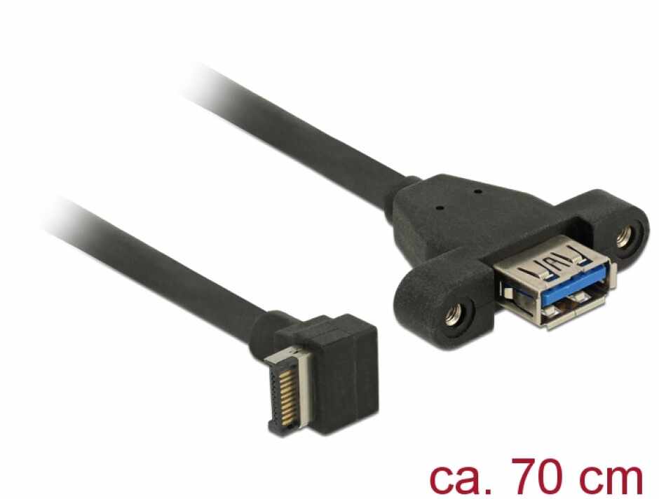 Cablu USB 3.1 Gen 2 key A 20 pini la USB 3.1-A Gen 2 T-M panel-mount 70cm, Delock 85325
