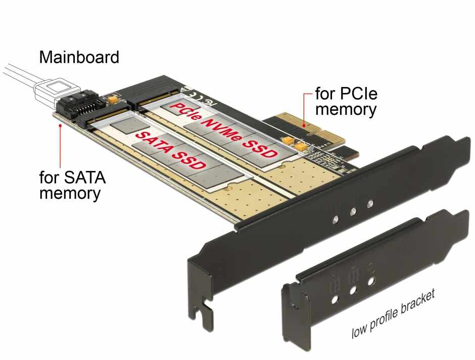 PCI Express la 1 slot M.2 Key B + 1 slot NVMe M.2 Key M, Delock 89630